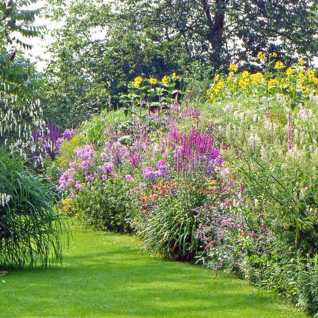 Tuin borders aanplanten Tuinkenners